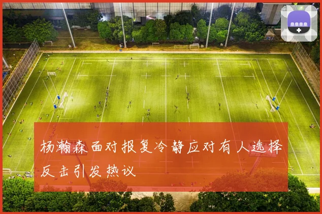 杨瀚森面对报复冷静应对有人选择反击引发热议